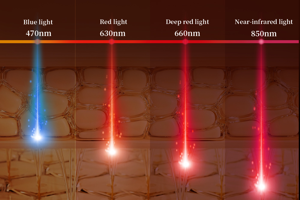 Deep red light(660nm),Red light（630nm),Near-infrared light（850nm), Blue light（470nm)