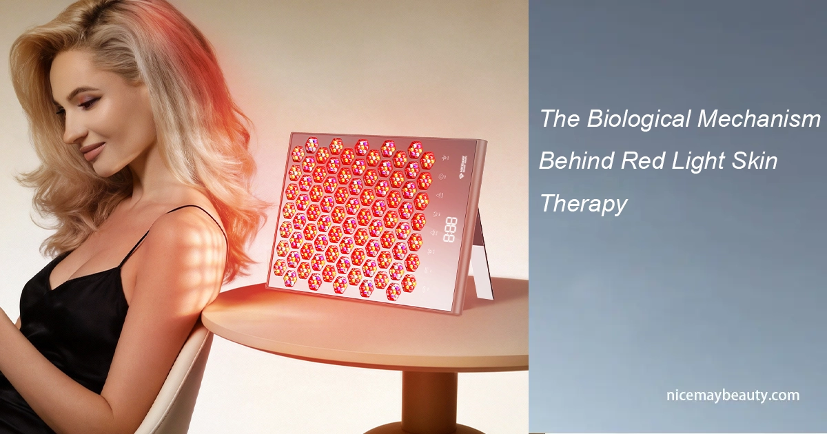 The Biological Mechanism Behind Red Light Skin Therapy